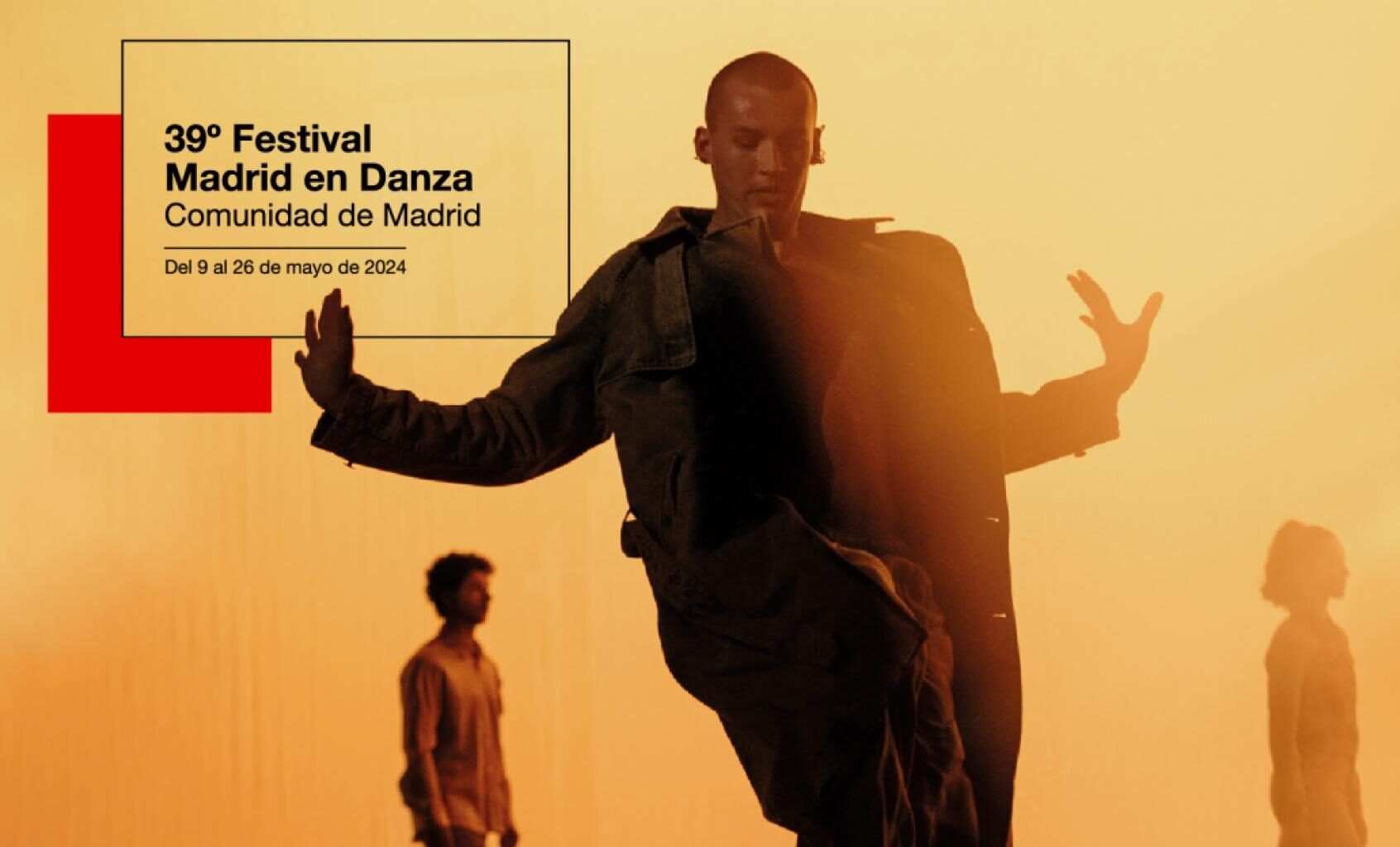 39º Festival Madrid en Danza en Madrid